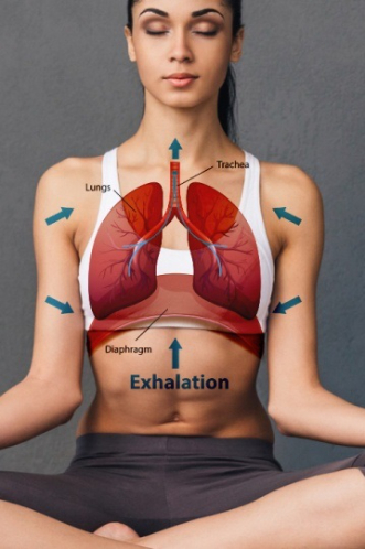 Diaphragmatic Breathing, Belly Breathing